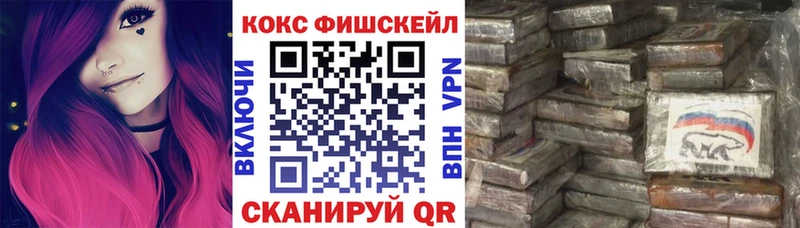КОКАИН Fish Scale  цена   Александровск 