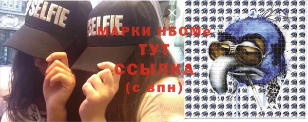 гашик Пестово