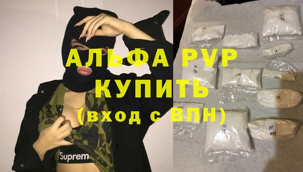 гашик Пестово